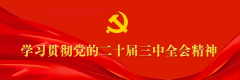 程力汽車集團(tuán)學(xué)習(xí)貫徹中央經(jīng)濟(jì)工作會(huì)議精神